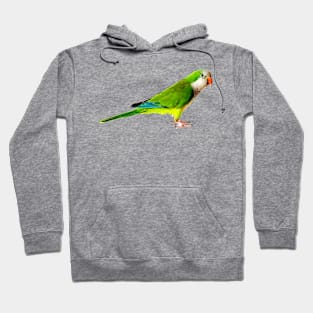 Green Parakeet Hoodie